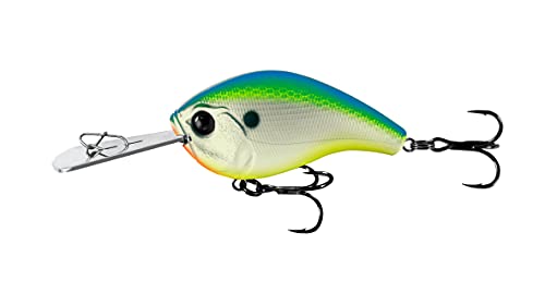 Citrus Shad