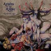 Arabs In Aspic Syndenes Magi - Psychedelic Rock Vinyl Record for Music Collectors & Audiophiles | Perfect for Home Listening & Vintage Music Enthusiasts