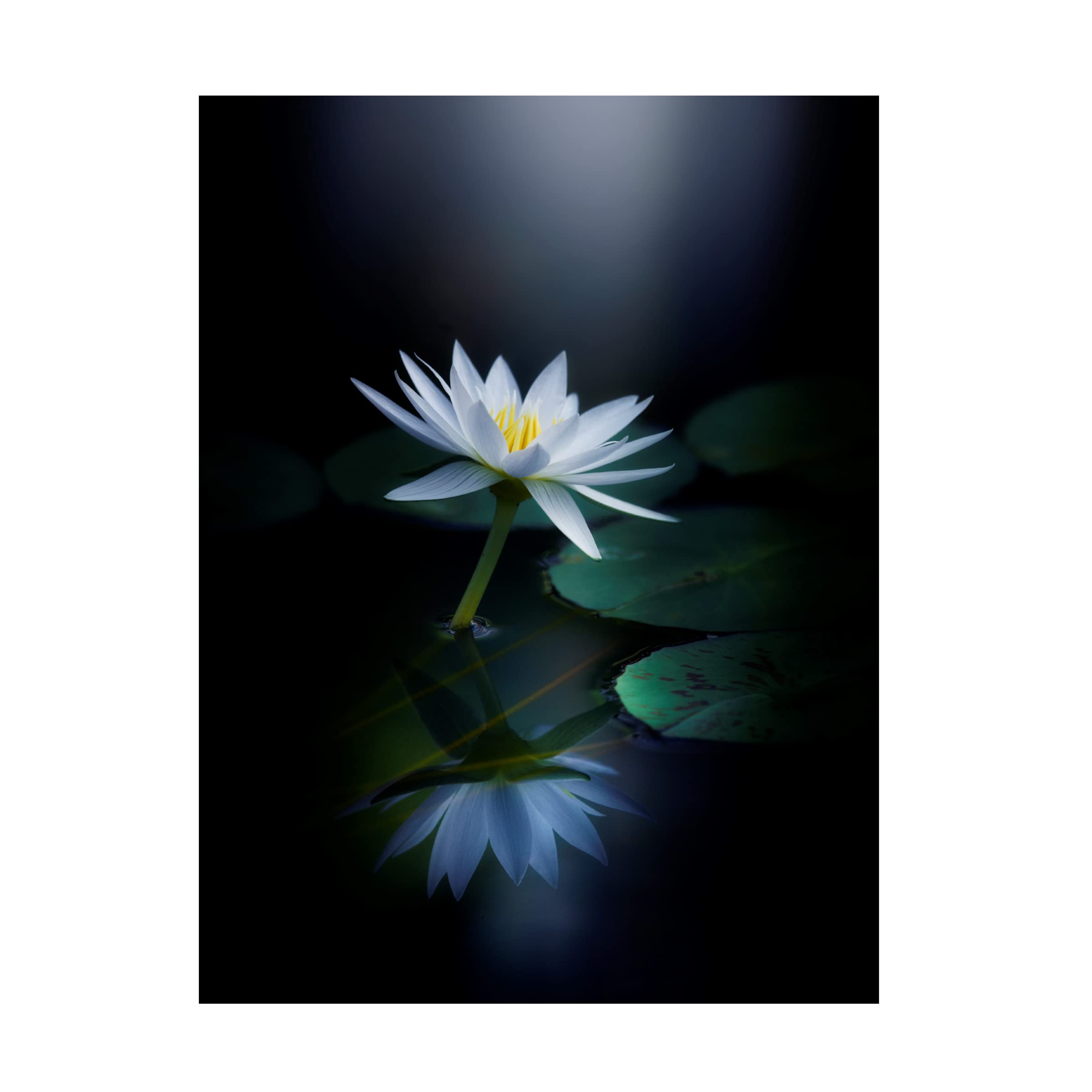 Trademark Fine Art 'Reflection 2' Canvas Wall Art by Takashi Suzuki - Modern Abstract Painting for Living Room, Bedroom & Office Decor