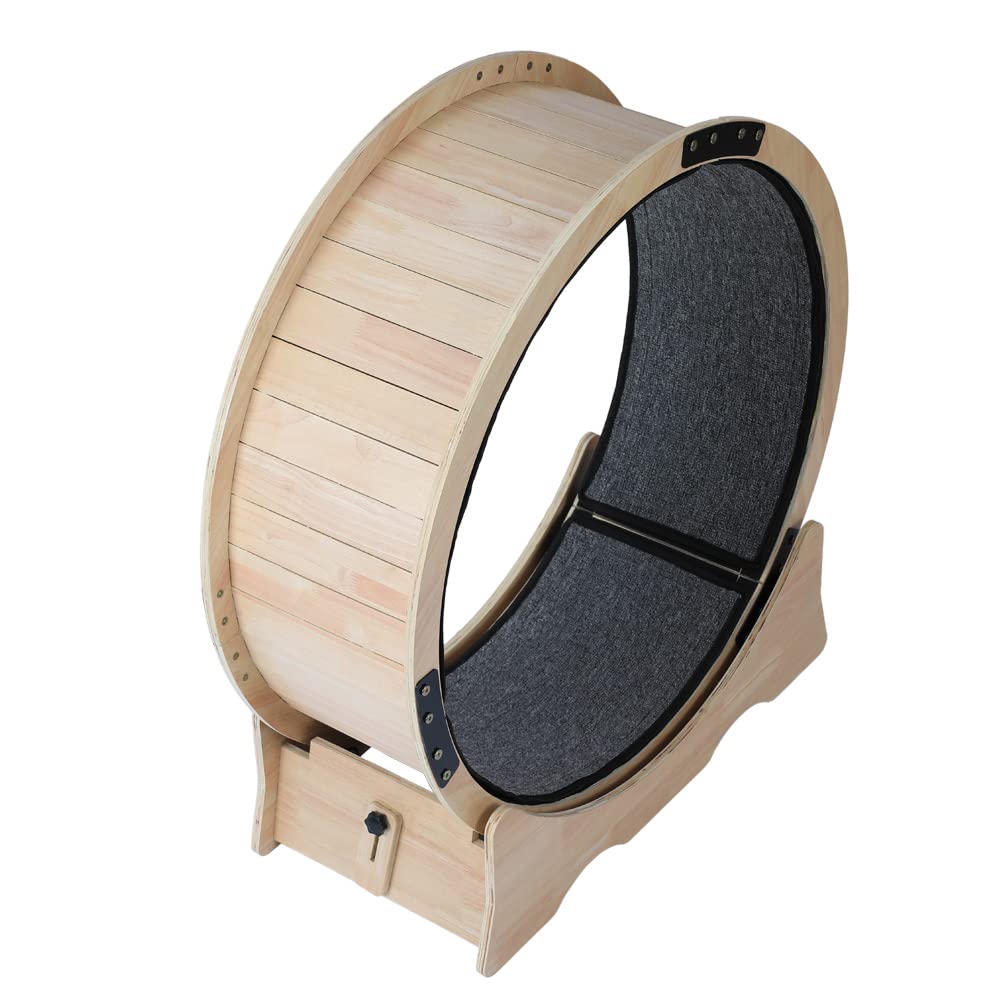 Premium Cat Exercise Wheel - Interactive Workout Toy for Indoor Cats | Fun Fitness Trainer for Active Play & Weight Management - Perfect for Small Apartments & Playrooms