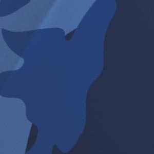 Blau camouflage
