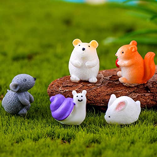 Small Animals