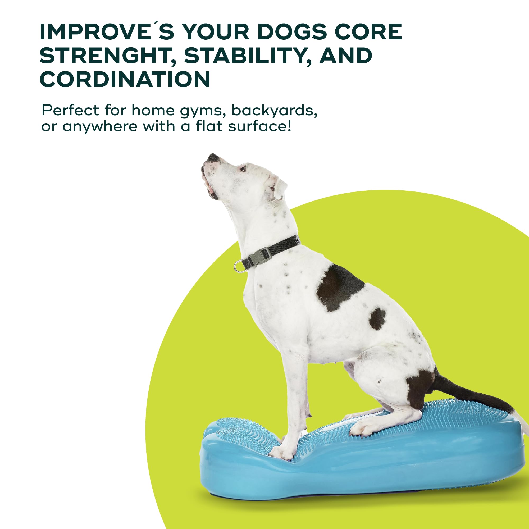 FitPAWS K9FITbone Giant Dog Balance Training Platform - Turquoise Exercise Equipment for Core Strength & Stability | Workout Tool for Canine Fitness | Perfect for Agility Training, Rehabilitation & Home Gym Use