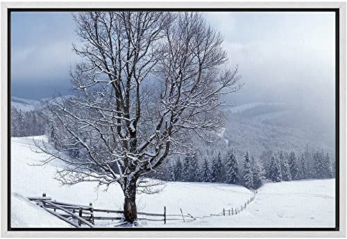 Snow Covered Trees
