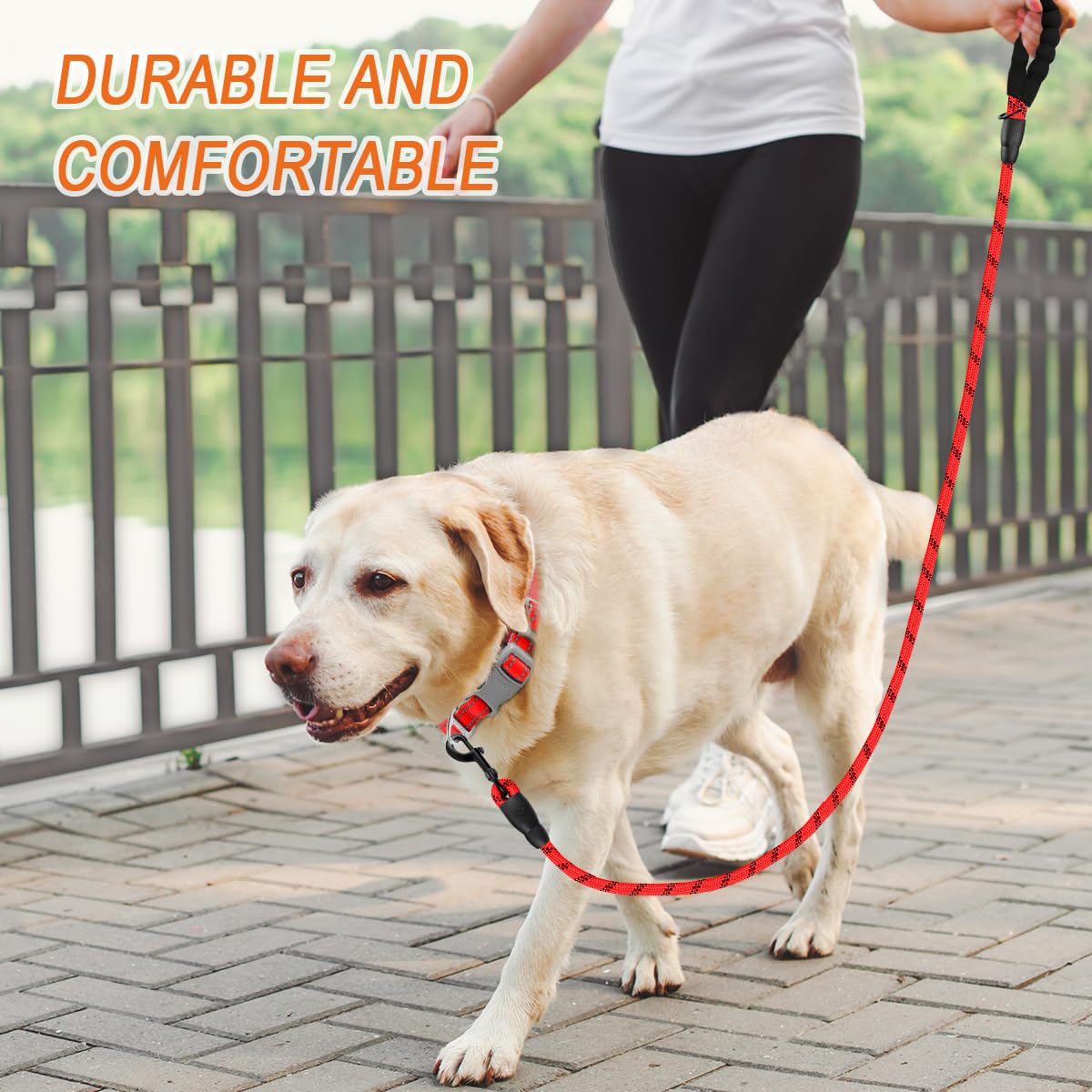 BARKBAY Heavy Duty Dog Leash 2 Pack - 5FT Strong & Durable Leashes for Large Dogs with Comfortable Padded Handle & Reflective Threads - Ideal for Walking, Training, Running & Outdoor Adventures (Red+Black)