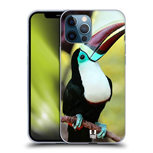 White Throated Toucan