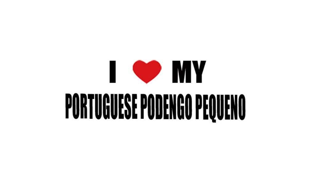 Portuguese Podengo Pequeno Dog Decal Sticker - Waterproof Vinyl for Car, Laptop, Wall, Window | Perfect for Pet Lovers, Home Decor & Office Accessories