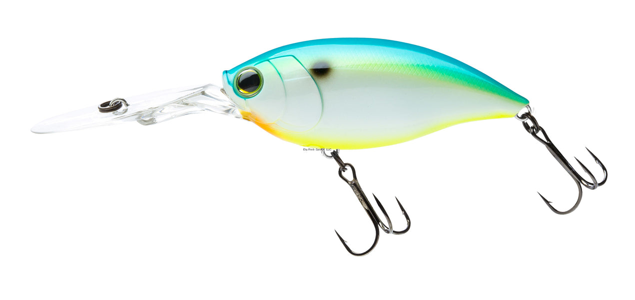 Citrus Shad