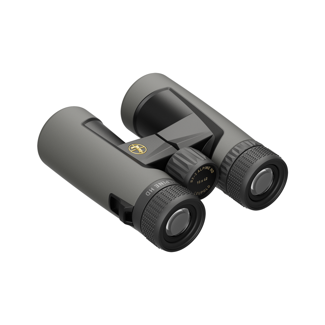 Leupold BX-2 Alpine HD 10x42 Binoculars - High Definition Roof Prism Optics for Hunting, Bird Watching & Outdoor Adventures