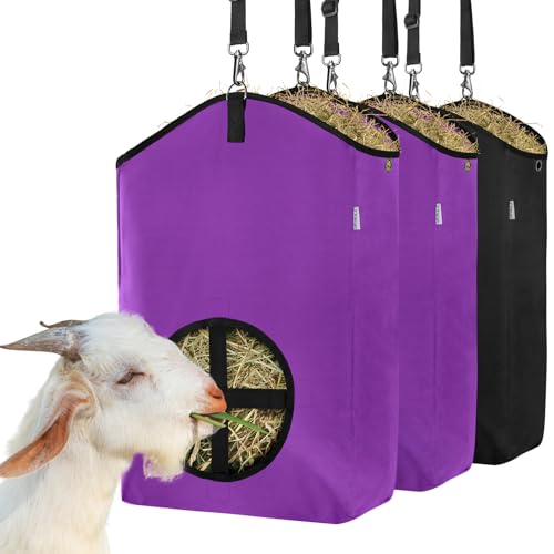 2Purple + 1Black