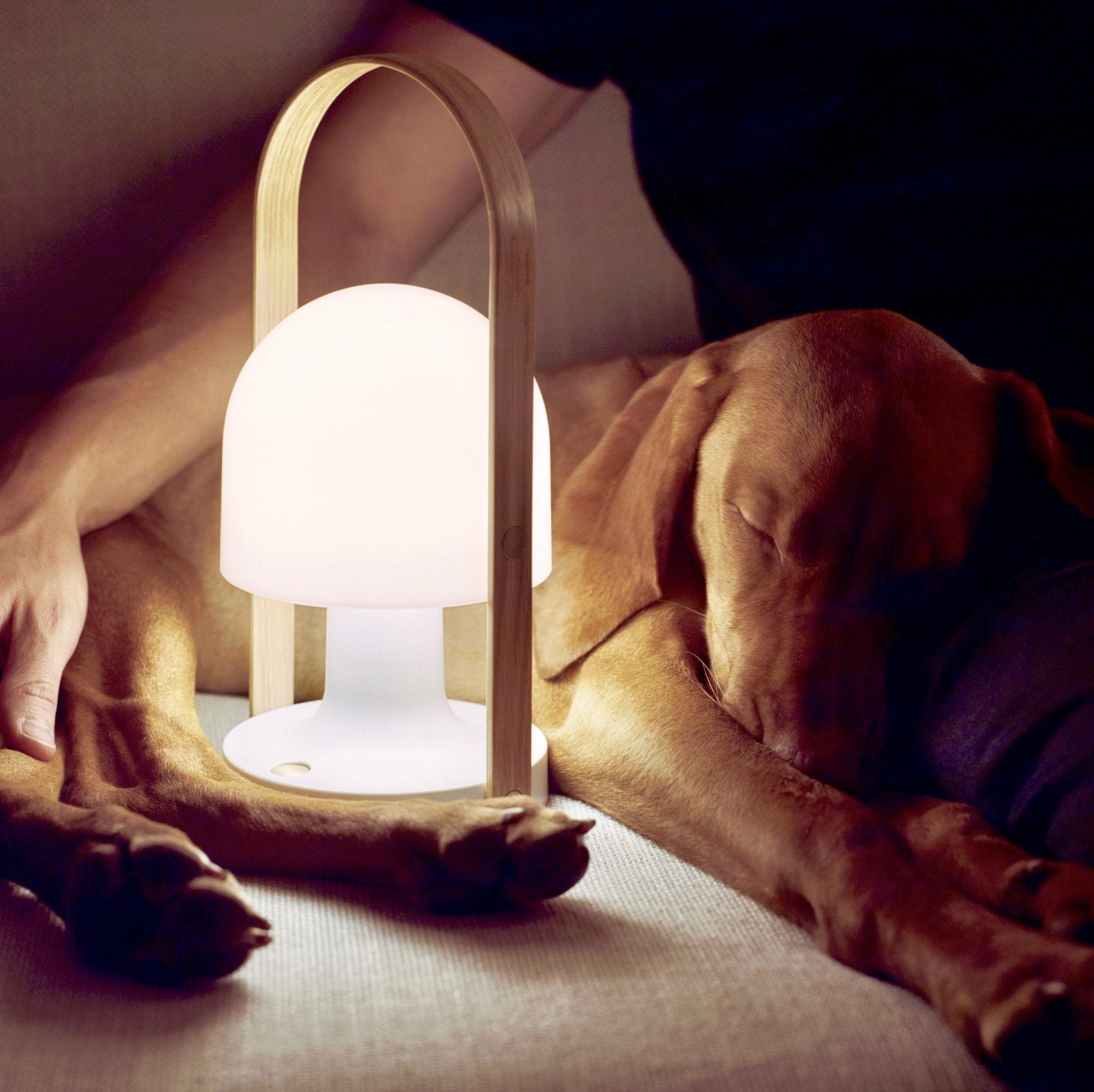Marset Follow Me Portable Rechargeable LED Night Light - White Battery-Operated Bedside Lamp for Nursery, Camping & Outdoor Use