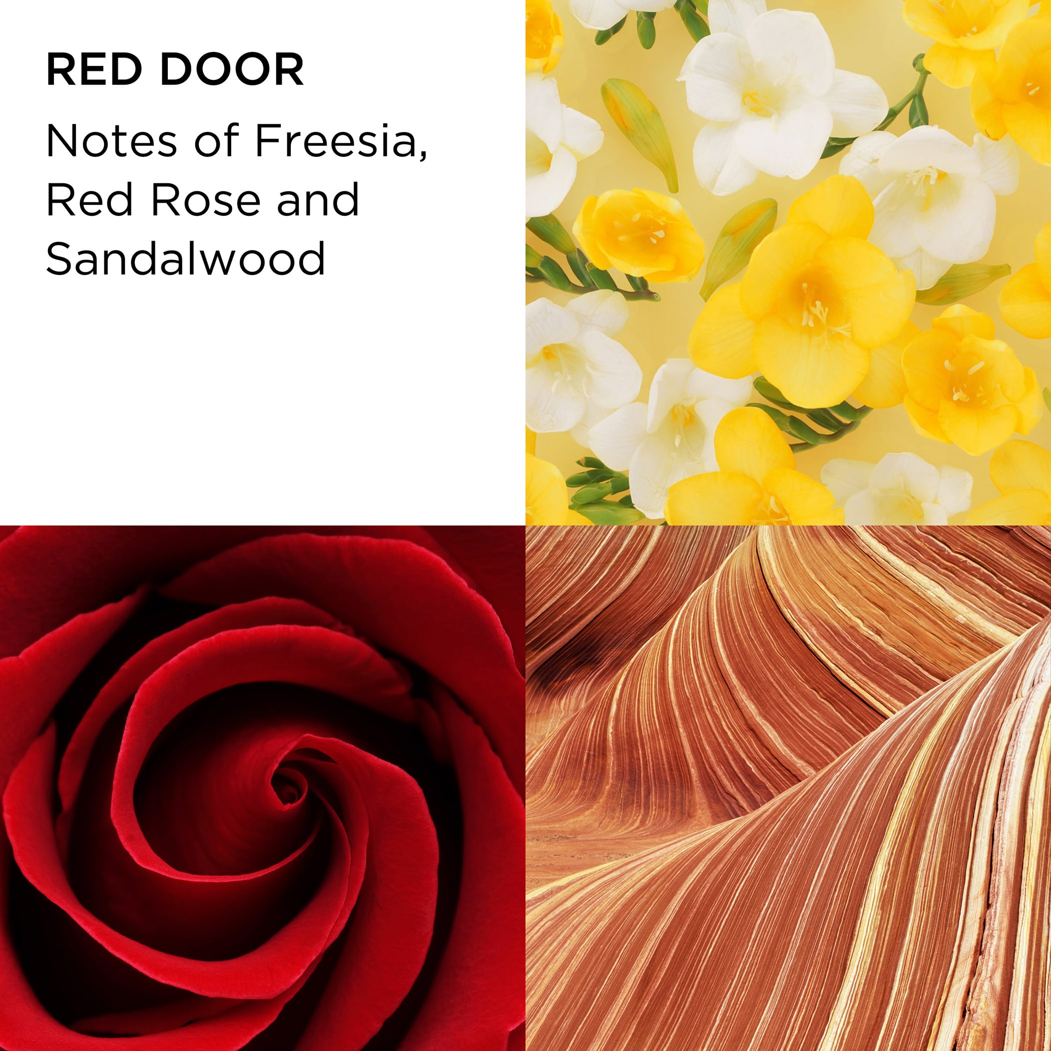 Red Door Eau de Toilette 3.3oz Perfume Set for Women - 3 Piece Gift Set with Floral Fragrance, Perfect for Daily Wear, Special Occasions & Romantic Dates