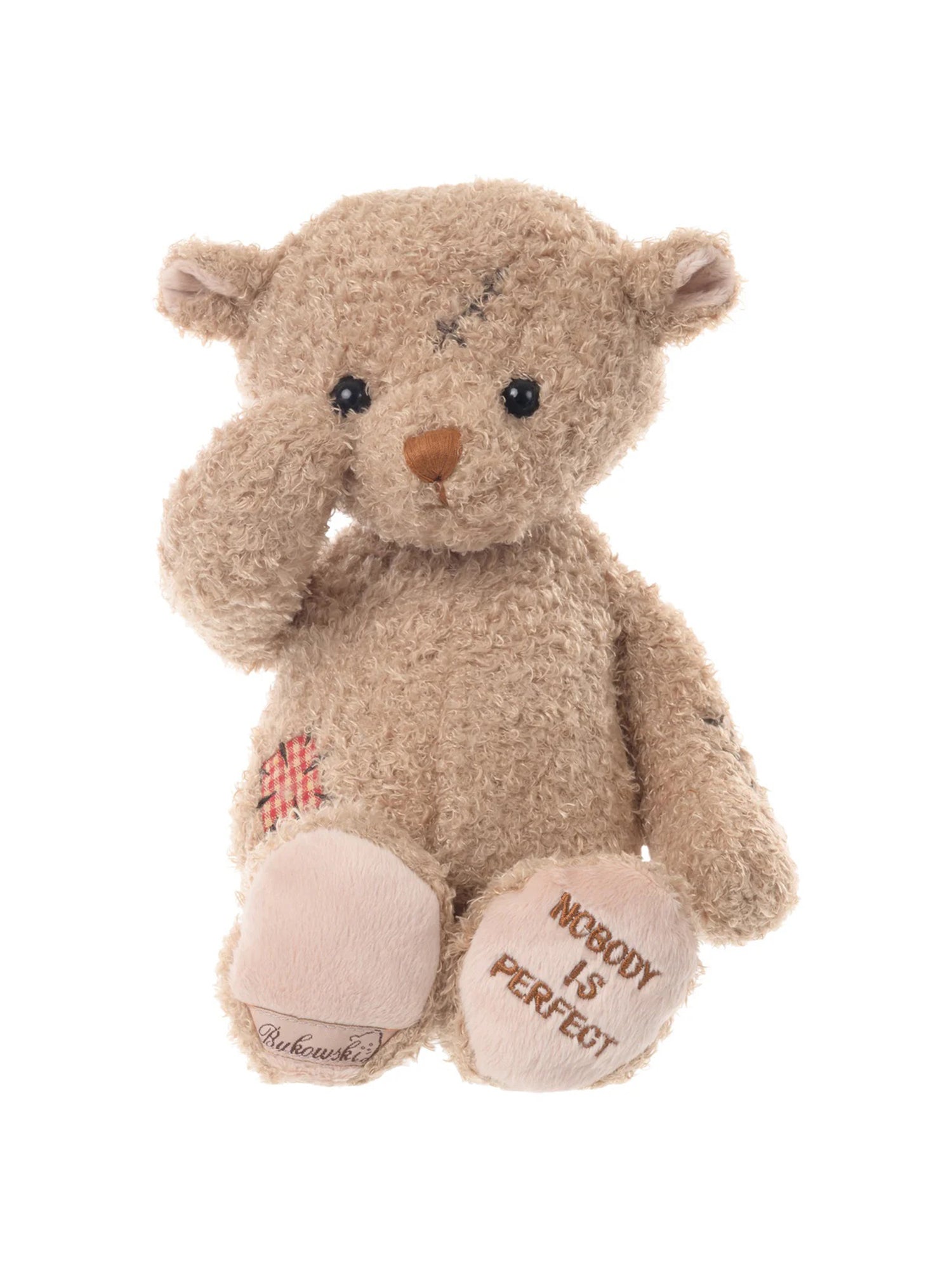 Nobody Is Perfect Bear - Cute Plush Stuffed Animal Toy for Kids, Gifts, and Home Decor | Perfect for Birthdays, Valentine's Day, and Nursery Room Decor