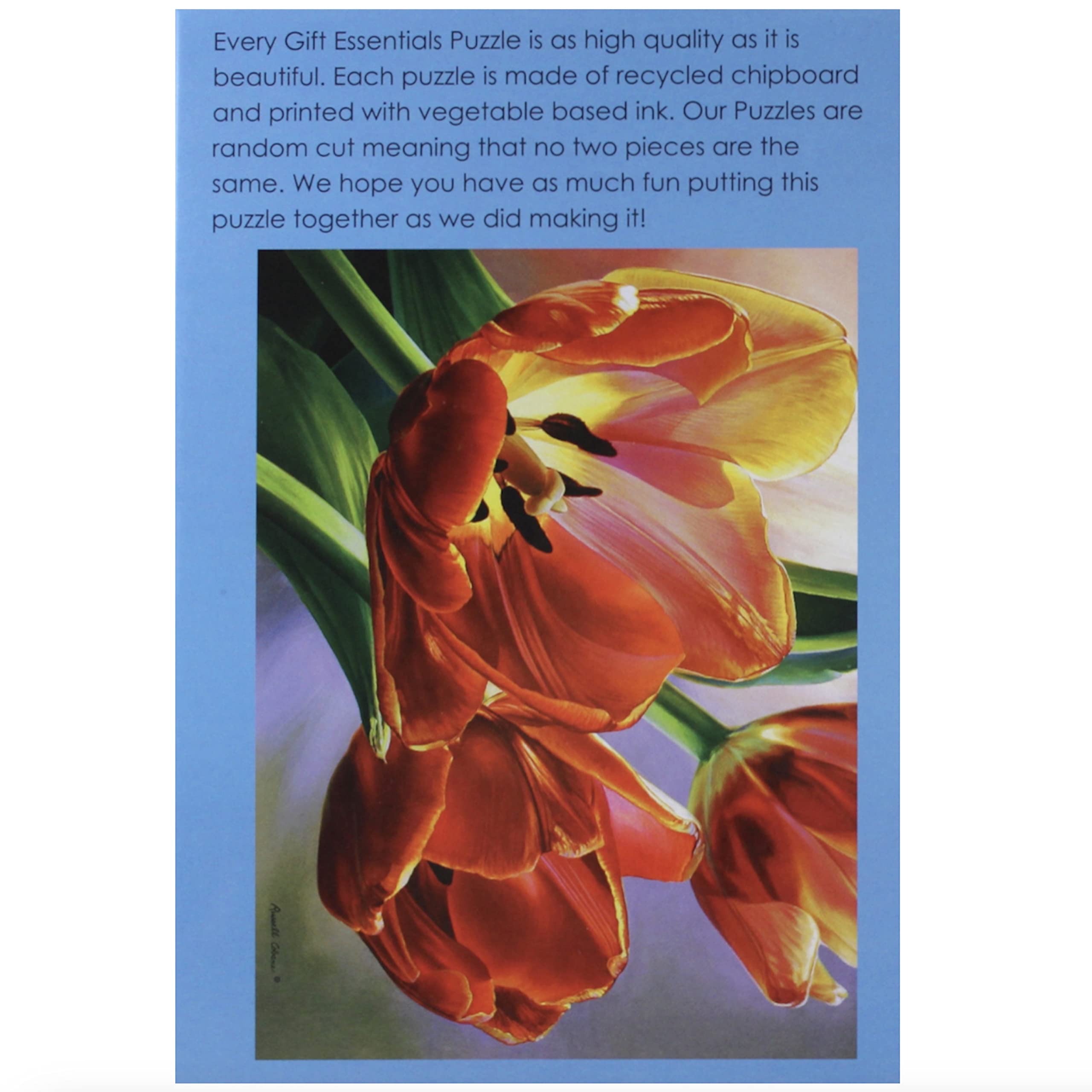 1000 Piece Tulips in Spring Jigsaw Puzzle for Adults & Kids - Challenging Family Game Night Activity, Home Decor & Relaxation Gift Idea