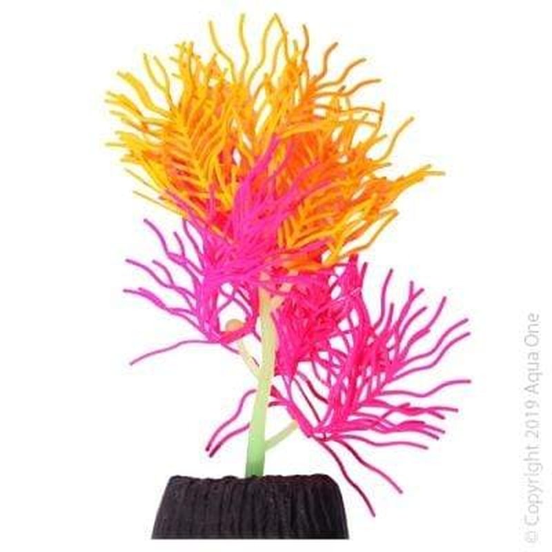 Aqua One Flexiscape Small Hornwort Pink and Orange Aquarium Plants - 13.5cm Live Aquatic Plants for Fish Tank Decoration | Perfect for Freshwater Aquariums and Shrimp Tanks