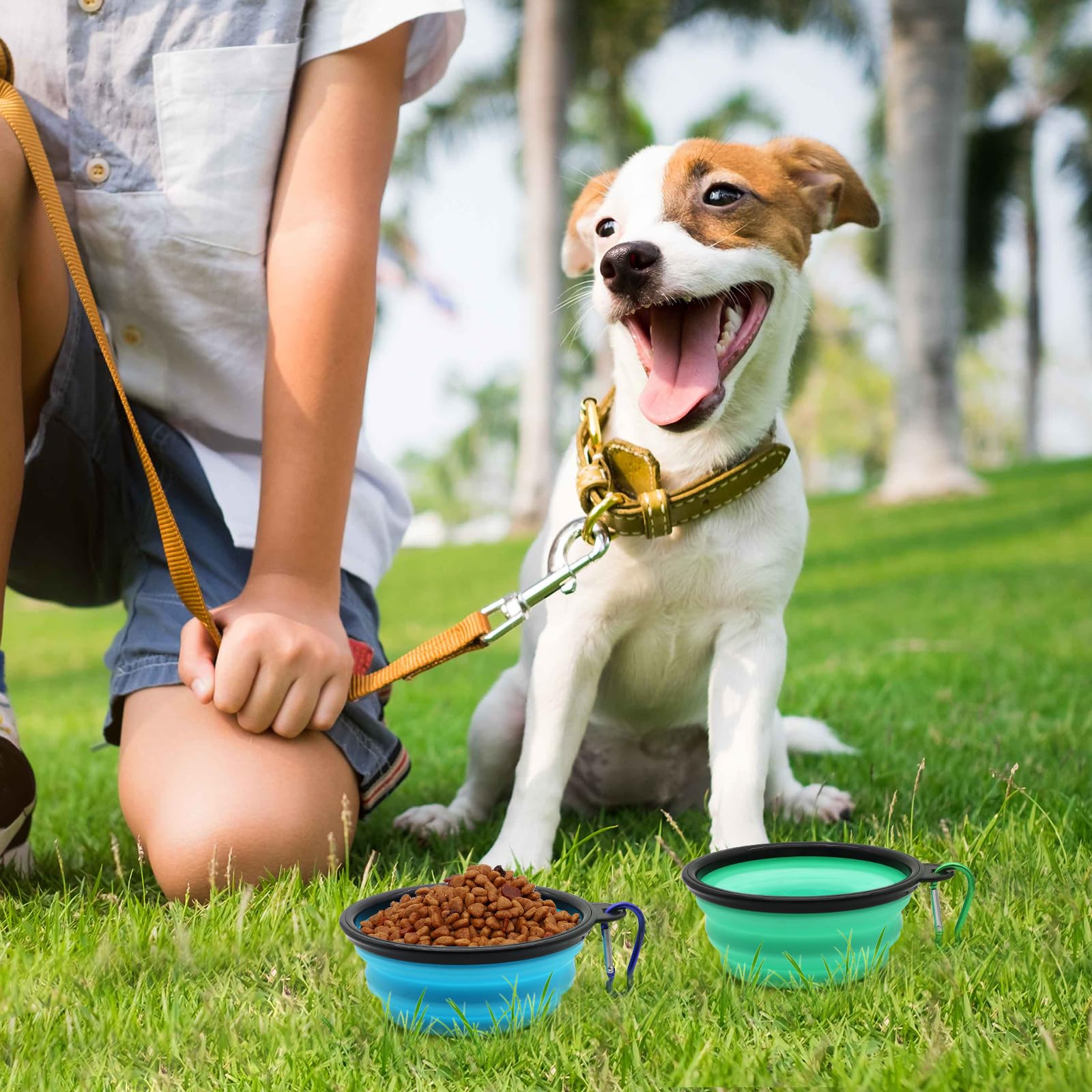 2-Pack Collapsible Dog Travel Bowls - Portable Foldable Pet Food & Water Dish for Small Dogs & Cats - Light Blue & Light Green - Perfect for Hiking, Camping & Travel Accessories
