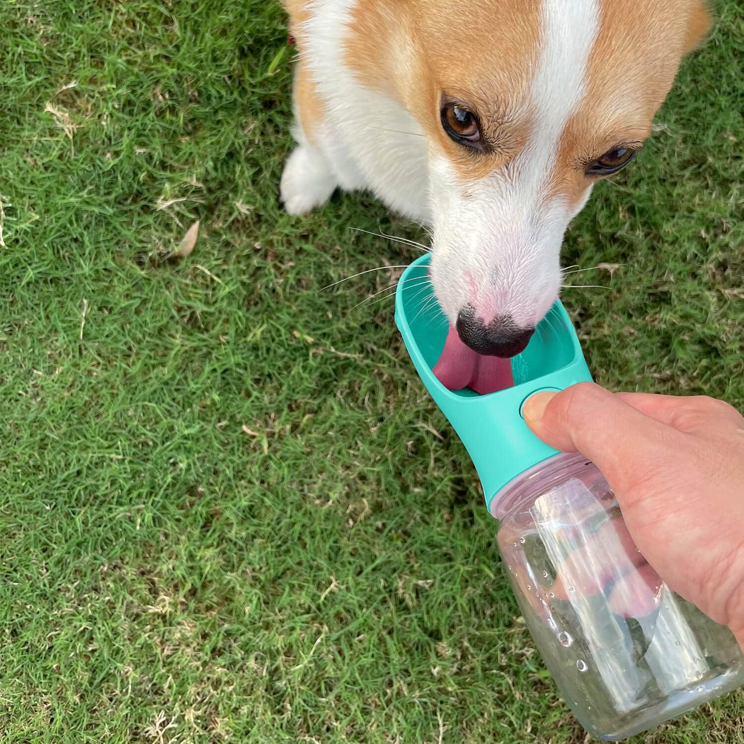 SHRBI Portable Dog Water Bottle with Dispenser & Drinking Bowl - BPA-Free Pet Water Feeder for Outdoor Walking, Hiking, Travel - Ideal for Dogs on the Go, Park Visits, and Road Trips