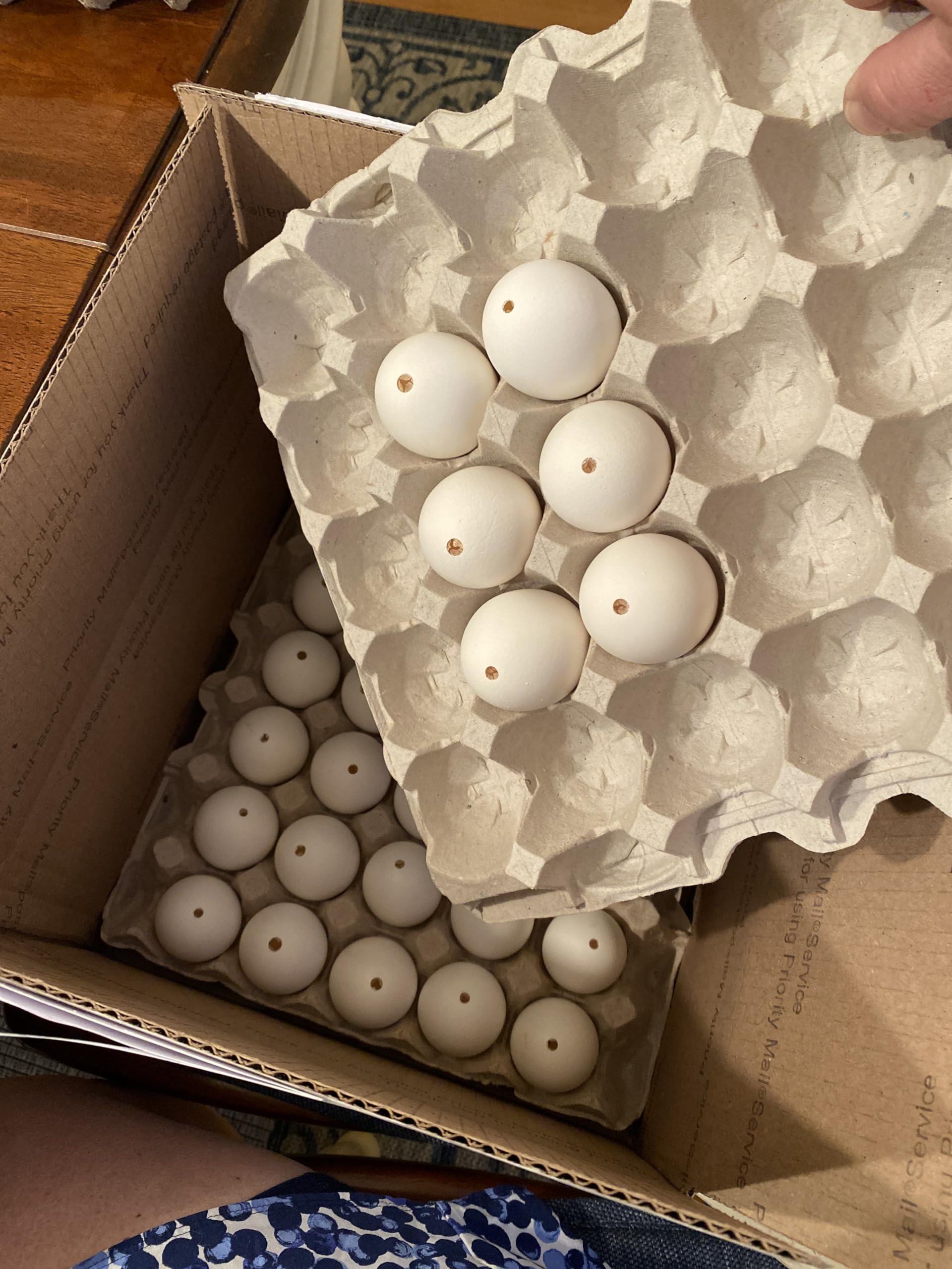DAONEG 30 Large Blown Chicken Egg Shells - Save 2-3 Hours of Work & Reduce Mess - Perfect for Easter Decorations, DIY Crafts & Art Projects
