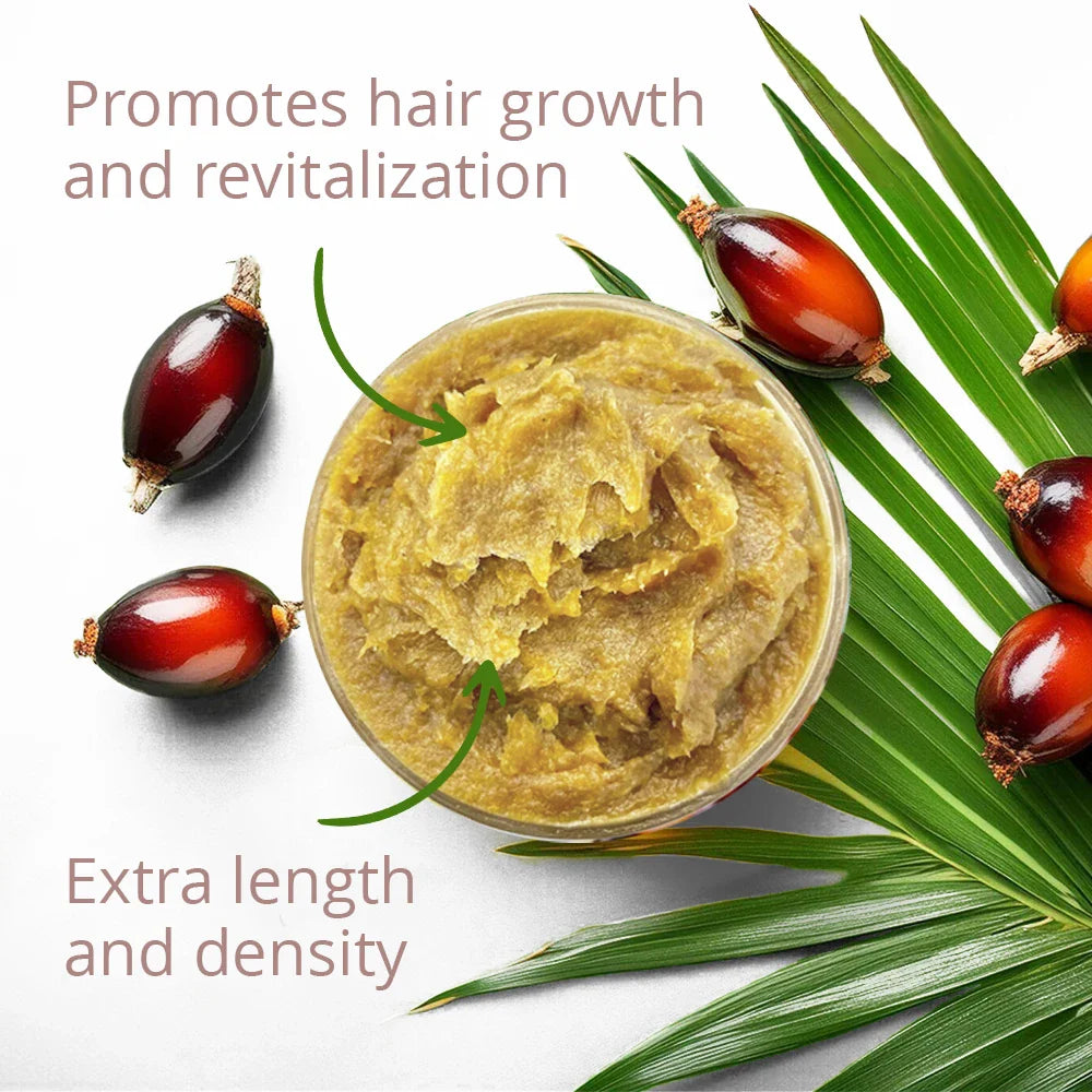 Organic Batana Hair Oil for Growth & Repair - Natural Deep Conditioning Treatment for Dry, Damaged Hair - Perfect for Daily Use, Scalp Massage & Hair Styling