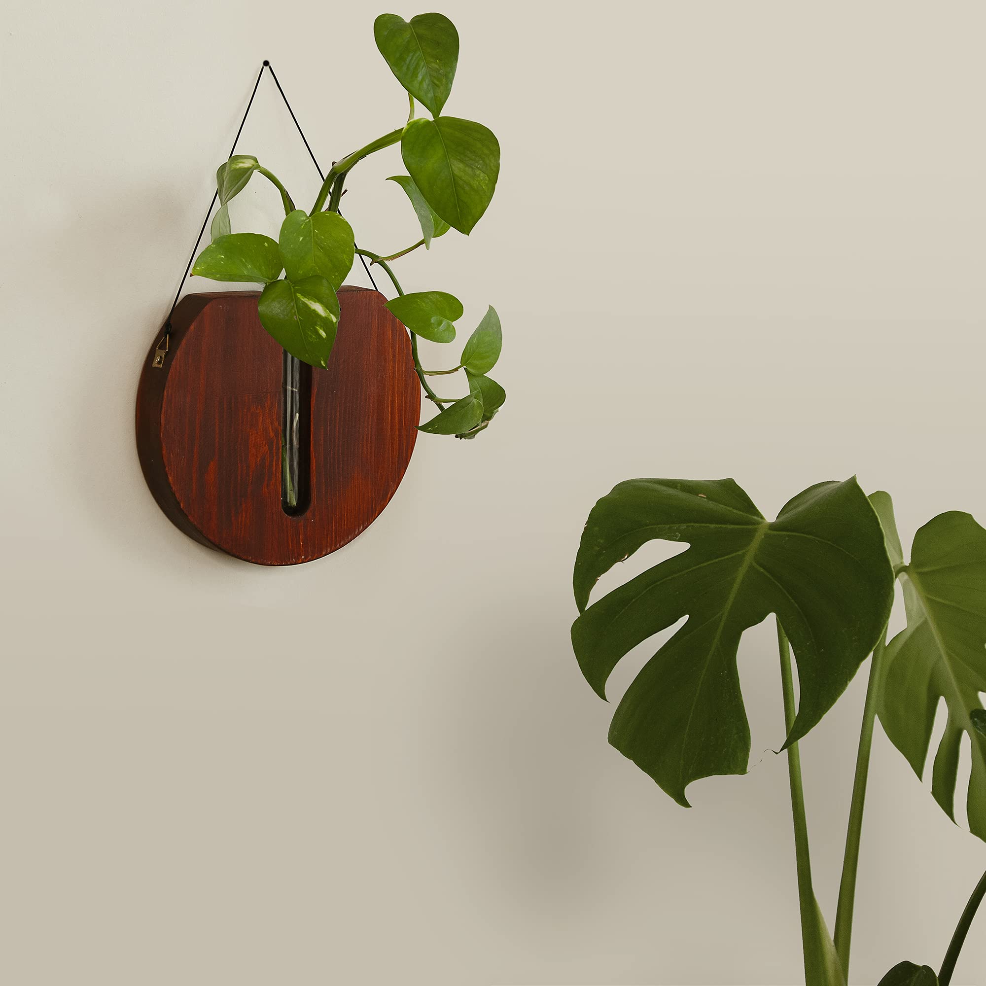 Self-Watering Hanging Planters for Indoor Plants - Boho Farmhouse Wall Decor for Succulents & Houseplants | Perfect for Living Room, Bedroom & Office Decor