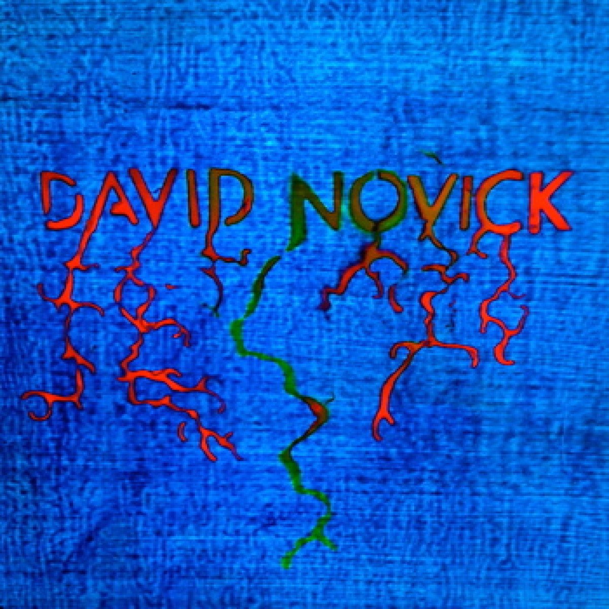 David Novick - Premium Handcrafted Leather Wallets for Men | Durable & Stylish RFID Blocking Bifold Wallet | Perfect for Everyday Use, Travel & Gifting
