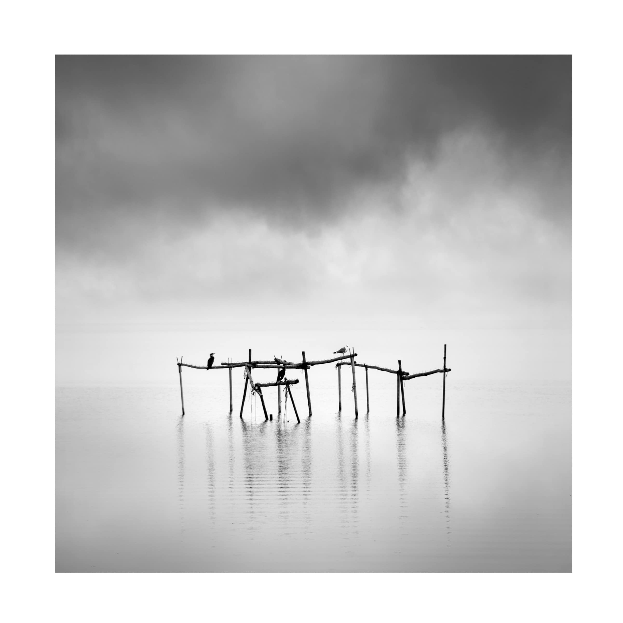 Trademark Fine Art 'Axios Delta 007' Canvas Wall Art Print by George Digalakis - Modern Landscape Photography for Living Room & Office Decor