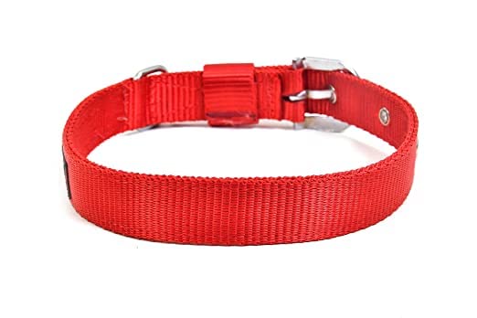 RvPaws Heavy Duty 1 Inch Nylon Dog Collar with 63 Inch Chain - Large Size Red Pet Accessories for Walking, Training & Outdoor Adventures