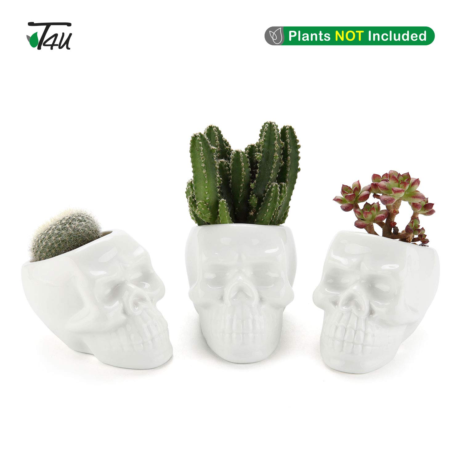 T4U Set of 3 Gothic Skull Succulent Planter Pots - White Ceramic Cactus Planters with Drainage Holes | Creative Plant Lover Gifts for Christmas, Birthday & Housewarming | Multi-Functional as Pen/Pencil Holder | Perfect for Home Office Decor, Gothic Decor & Halloween Party Centerpieces