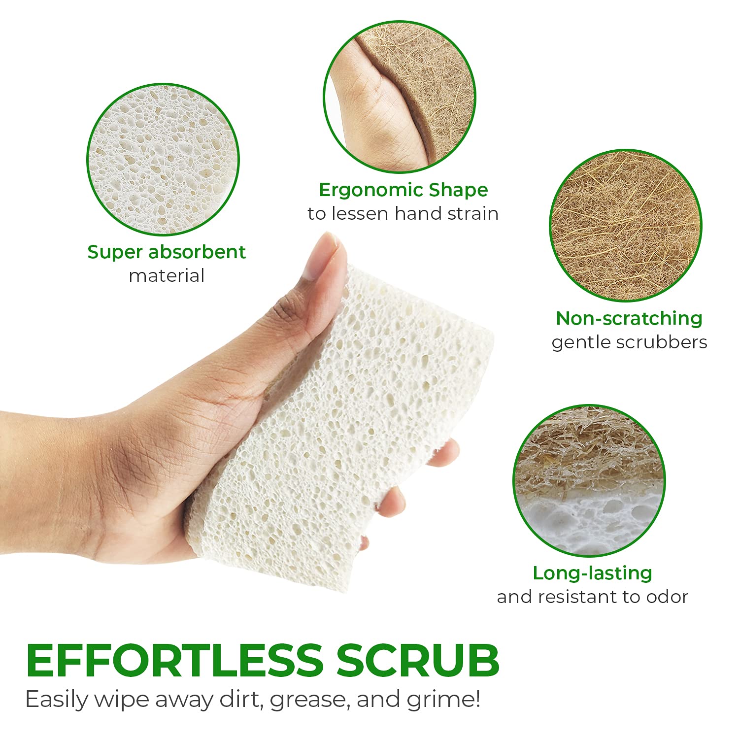 6 Pack Natural Kitchen Sponges - Eco-Friendly Cellulose & Coconut Husk Dish Sponges | Odor-Free, Non-Scratch Walnut Scrubber | Quick-Drying for Washing Dishes | Perfect for Daily Dish Cleaning, Kitchen Sink & Countertop Cleaning