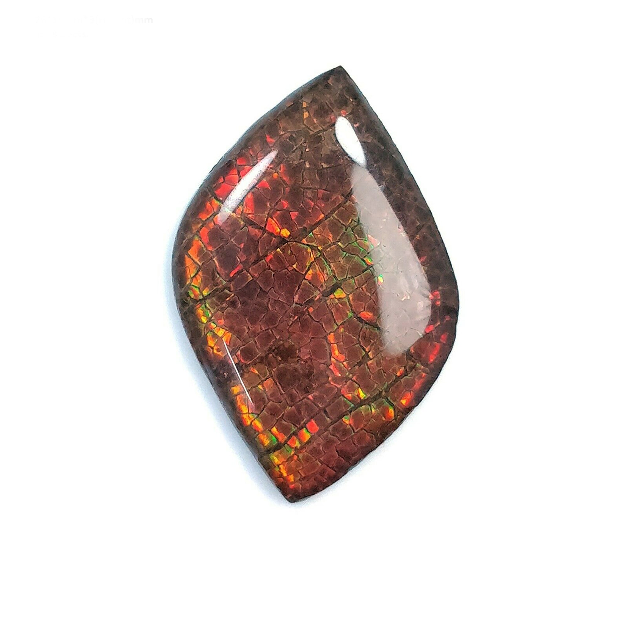 Natural AMMOLITE Gemstone Cabochon - Bi-Color Fossilized Shell, 23.5x15mm & 26x16mm, Handmade Jewelry Making, Unique Uneven Shape - Perfect for Rings, Pendants & DIY Craft Projects