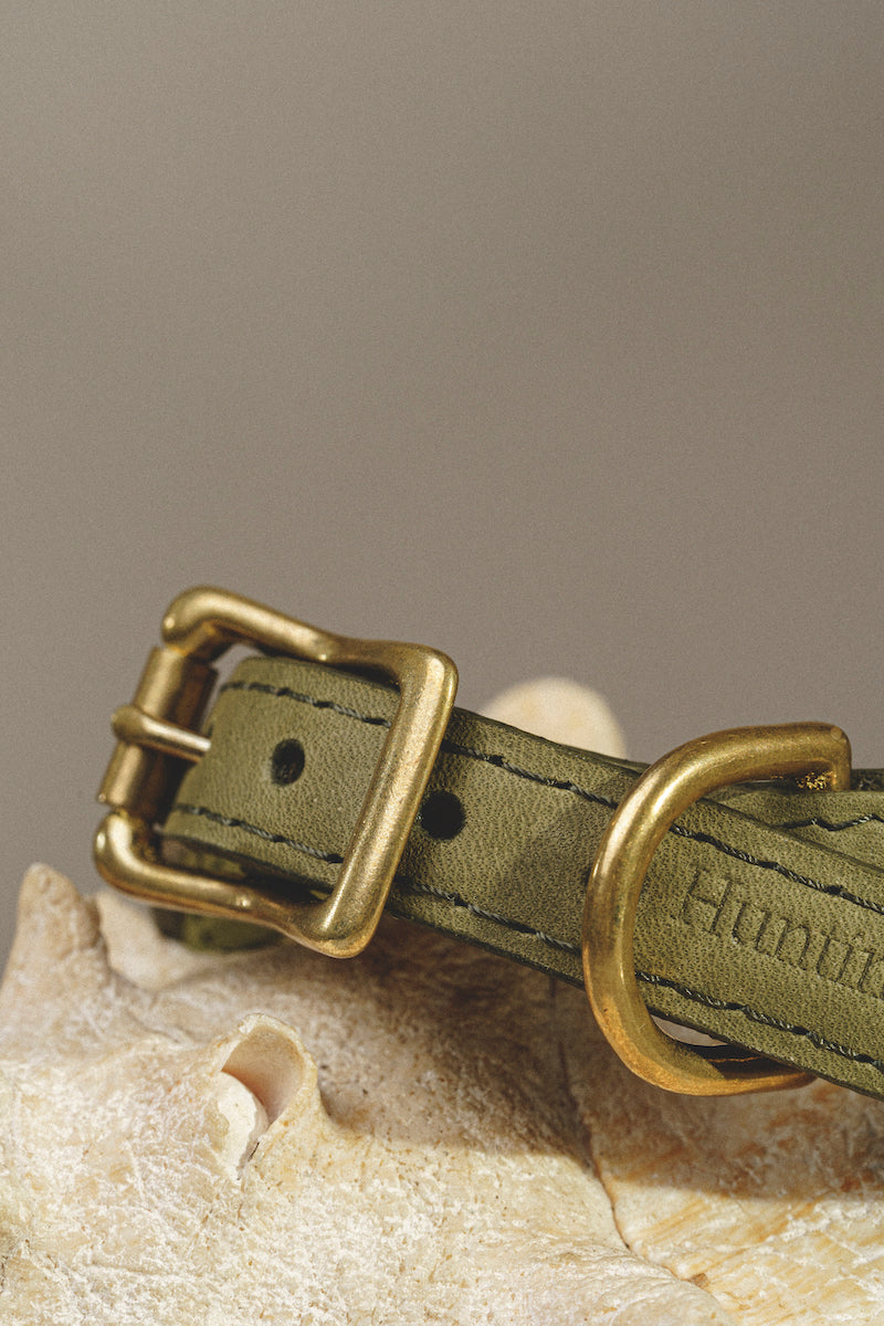 Premium Green Dog Collar - Durable & Adjustable Pet Collar for Small & Medium Dogs - Perfect for Walks, Training & Outdoor Adventures