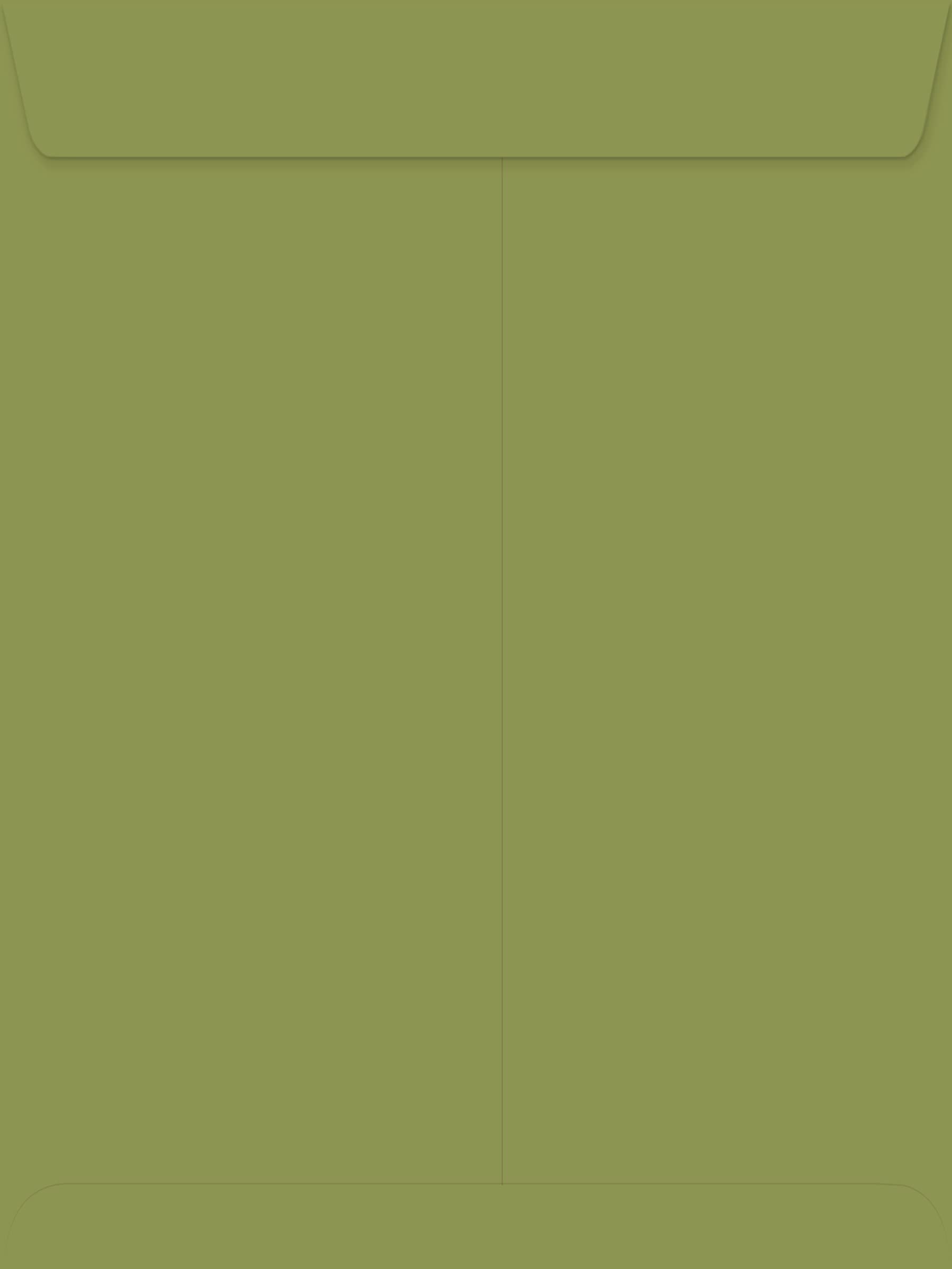 LUXPaper 9 x 12 Open End Peel & Press Envelopes - Avocado Green, 70lb Text Weight, Pack of 250 | Perfect for Mailing, Business Correspondence, Wedding Invitations & Greeting Cards