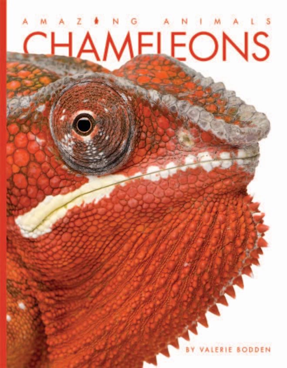 Amazing Animals (2014): Chameleons - Color Changing Reptiles for Kids & Nature Lovers | Perfect for Educational Gifts & Wildlife Documentaries