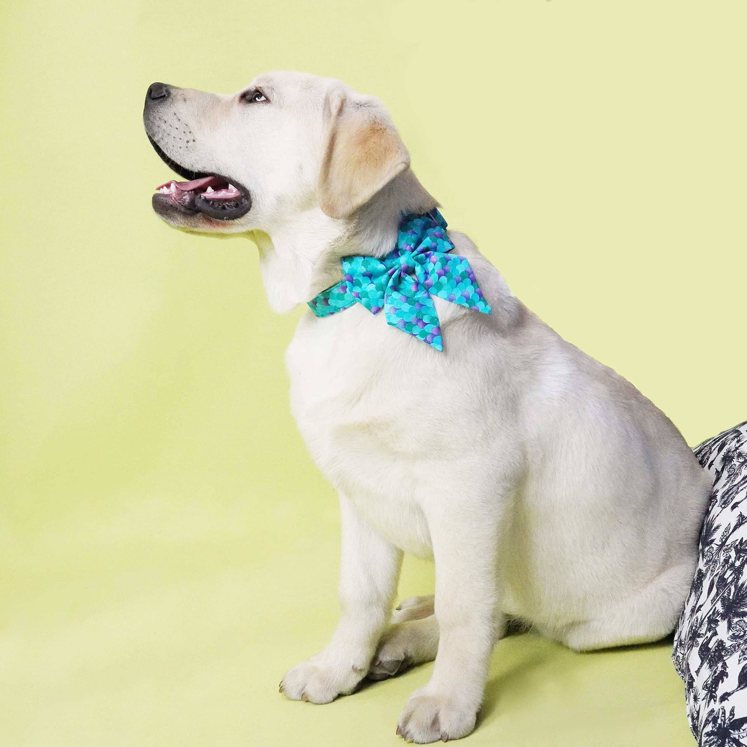 Adjustable Soft & Comfortable Dog Collar with Bowtie - Perfect for Small, Medium & Large Dogs - Ideal Gift for Boy or Girl Pets - Great for Daily Walks, Special Occasions & Photo Shoots