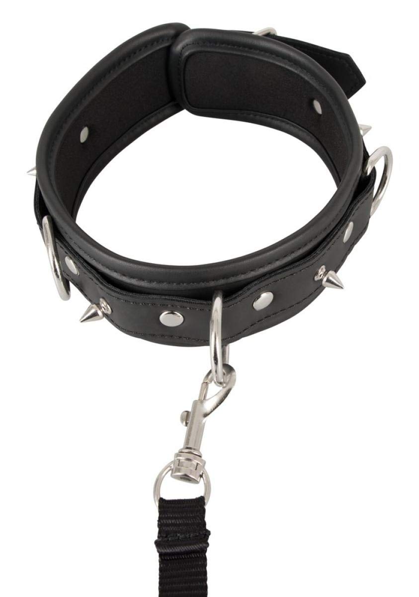 100% Vegan Dog Collar with Leash - Eco-Friendly Pet Accessories for Small & Large Dogs - Perfect for Daily Walks, Training & Outdoor Adventures