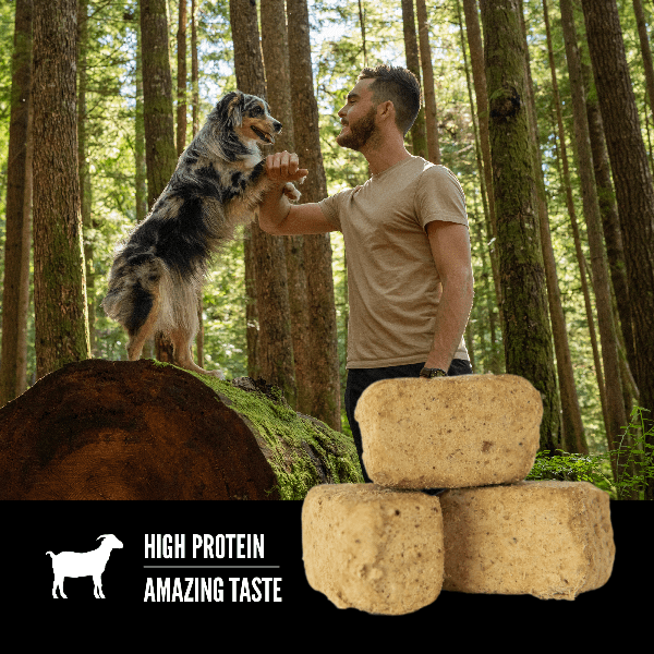 Orijen Tundra Freeze-Dried Dog Treats - High-Protein, Grain-Free Natural Snacks for All Breeds - Perfect for Training, Rewards & Outdoor Adventures