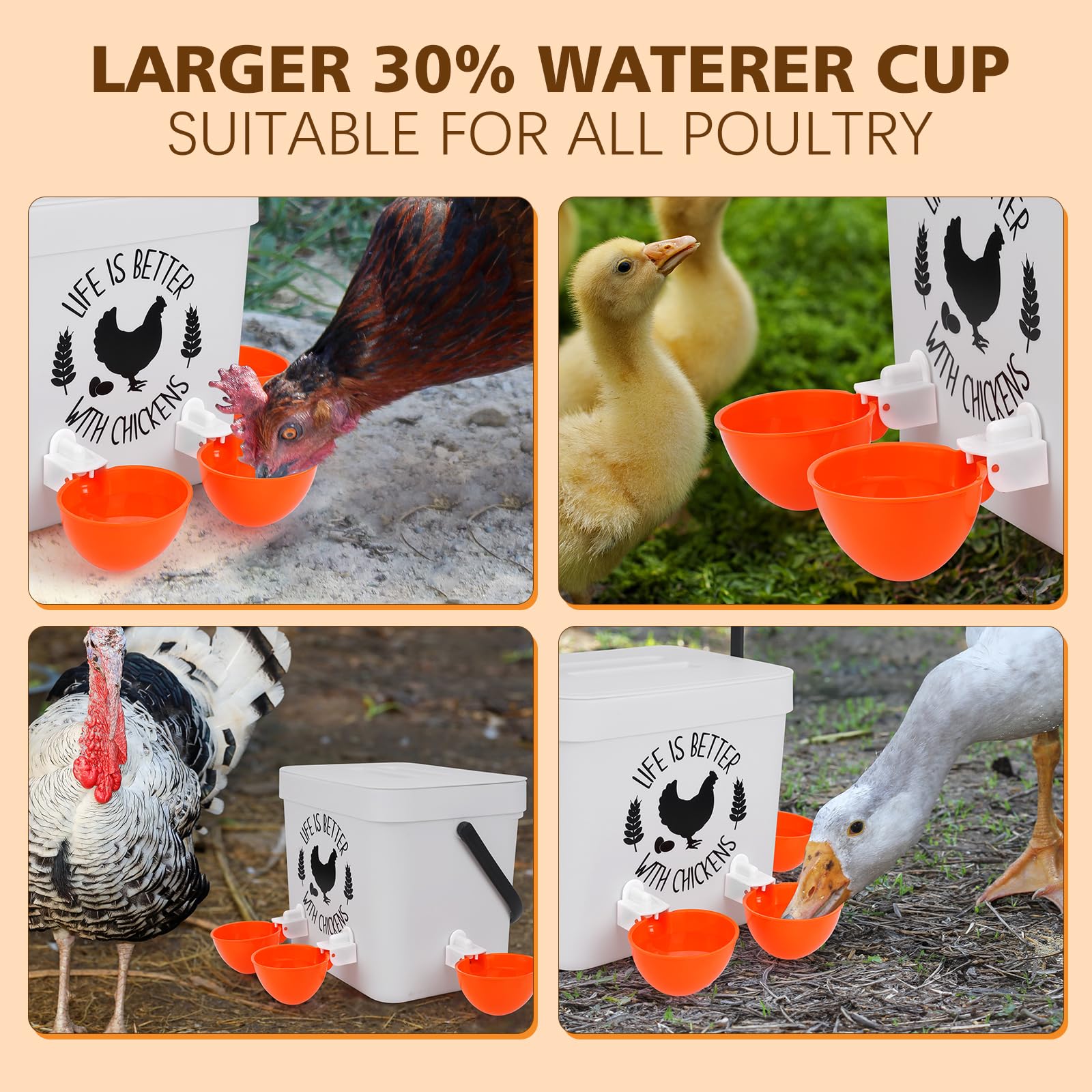 TGEYD Automatic Chicken Water Cups (6 Pack) - Large Poultry Waterer for Chickens, Ducks, Geese, Turkeys & Rabbits - Includes Matching Drill - Perfect for Coops, Farms & Backyard Poultry Keeping