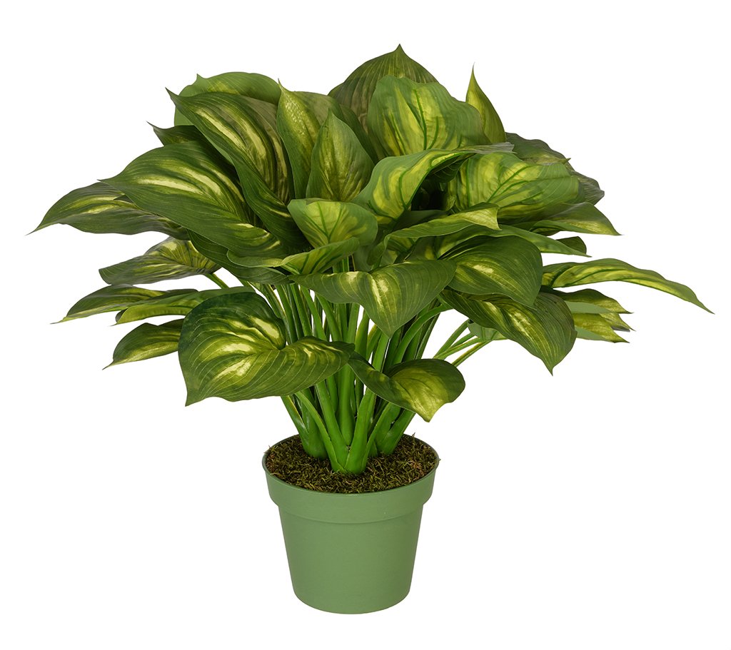 Premium Artificial Large Hosta Silk Flowers - Realistic Faux Greenery for Home Décor, Wedding Centerpieces & Office Decorations