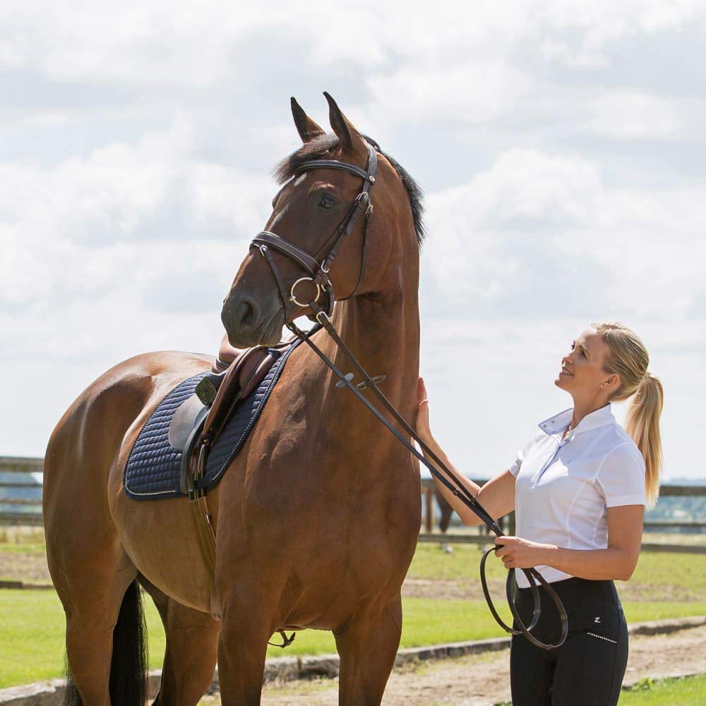 HORZE Venice Padded Synthetic Leather Snaffle Bridle with Flash and Reins - Comfortable Equestrian Horse Riding Gear for Training & Show Jumping