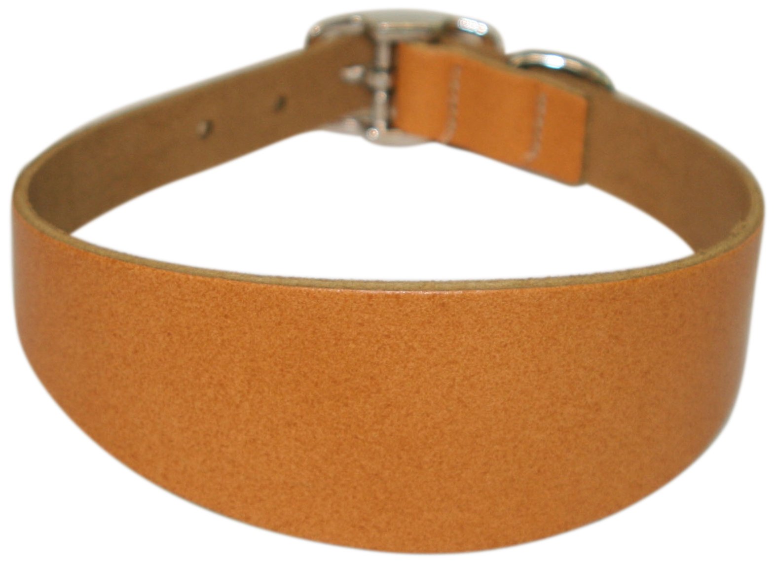 Premium BBD Whippet Dog Collar in Tan - Durable & Adjustable Pet Collar for Small to Medium Dogs - Perfect for Walks, Training & Everyday Use
