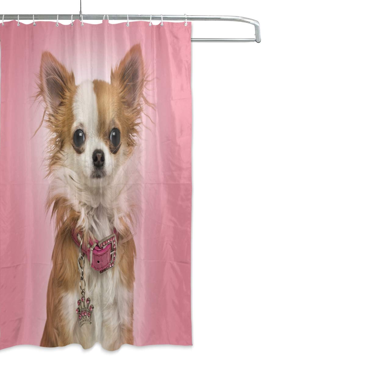 ALAZA 72x72 Inch Waterproof Chihuahua Dog Shower Curtain - Polyester Bathroom Decor with Hooks for Pet Lovers | Perfect for Bathroom, Dog Grooming Salon & Pet-Themed Home Decor