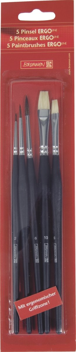 104893301 Premium School Brush Set - 5-Piece Artist Paint Brushes (Includes 2/4/6 Fine Hair Brushes & 6/10 Bristle Brush) for Students, Classroom Art Projects & DIY Painting
