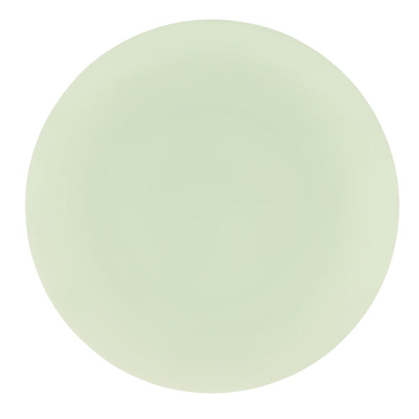 32-Piece Mint Green & White Tulip Round Plastic Dinnerware Set - BPA-Free, Shatterproof (16 Servings) | Perfect for Outdoor Picnics, BBQs, Parties & Everyday Use