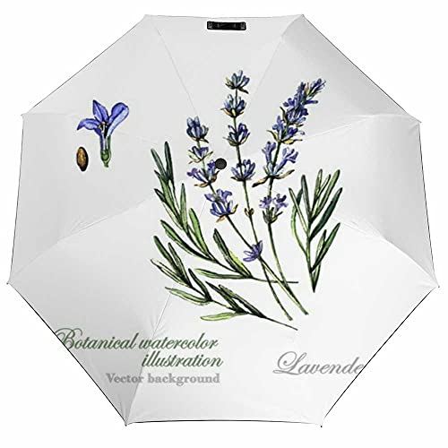 Watercolor Botanical Illustration Lavender