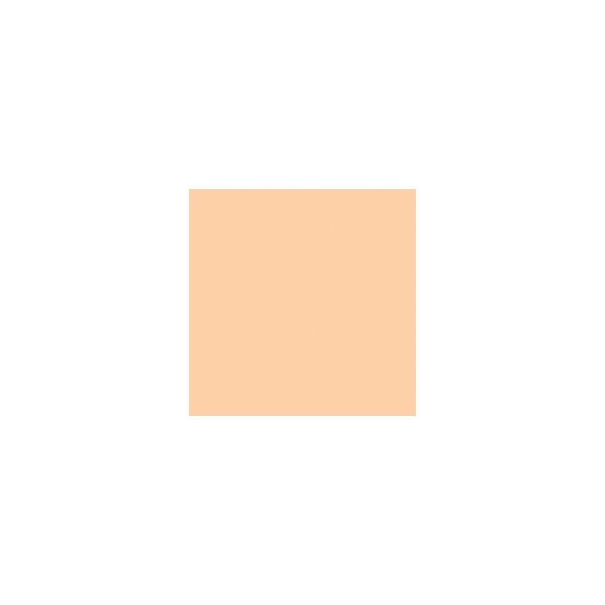 Lee Filters 1/2 CTO 48