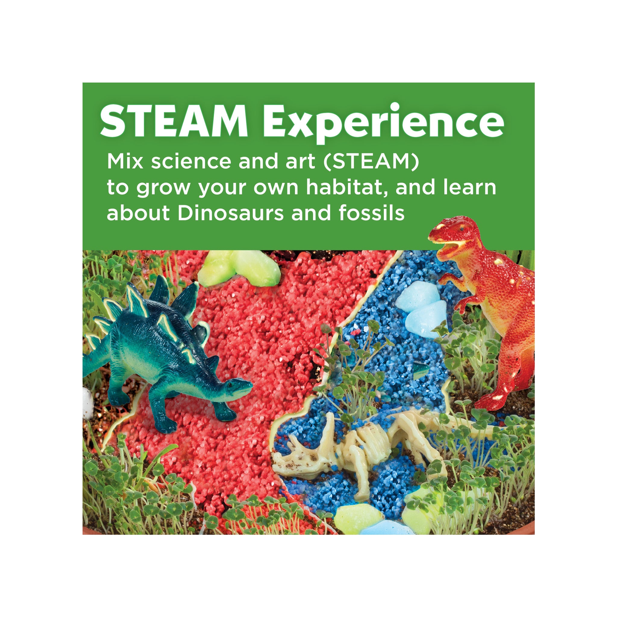 Grow N’ Glow Dinosaur Habitat Kit - Educational STEM Toy for Kids with Glow-in-the-Dark Features - Perfect for Science Experiments, Birthday Gifts & Indoor Playtime #6231000
