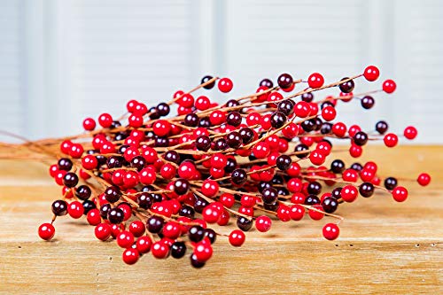 Red Cranberries