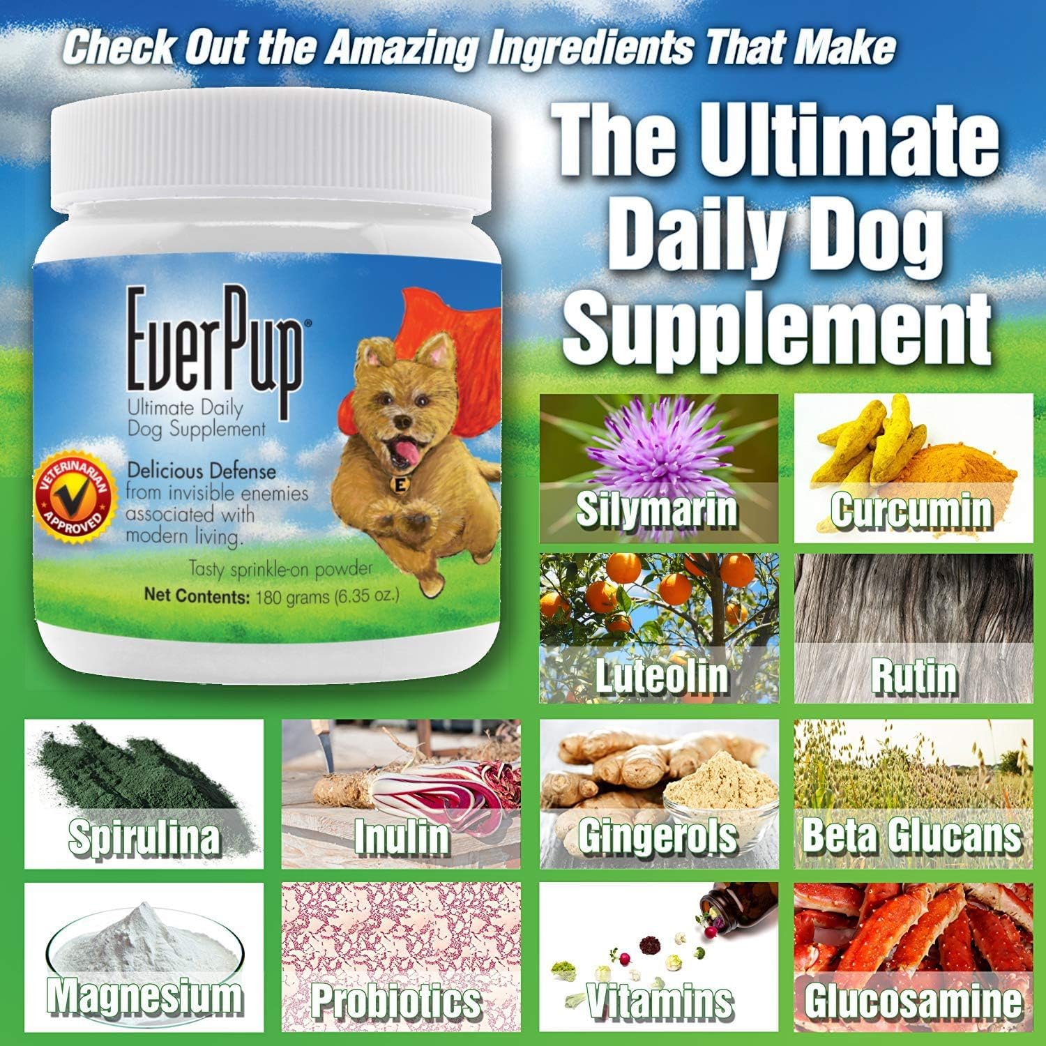 EverPup Multivitamin Dog Supplement with Glucosamine & Adaptogens for Hip & Joint Health + Probiotics & Prebiotics for Digestive Support - Supports Mobility & Gut Health for Active Dogs & Senior Pets