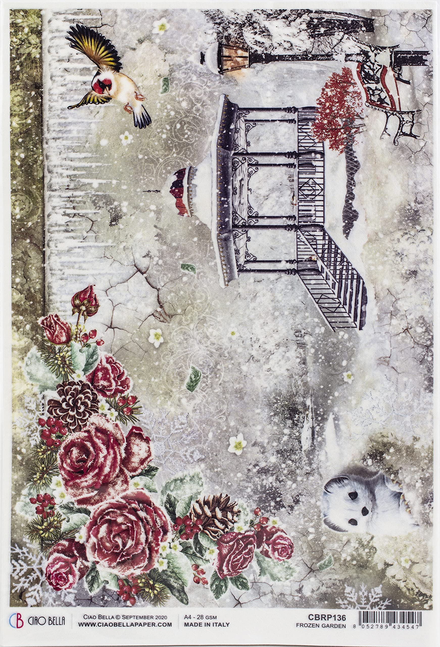 CIAO BELLA PAPER Frozen Garden Paper - Decorative Scrapbook Paper for DIY Crafts, Mixed Colors, One Size - Perfect for Scrapbooking, Card Making, and Home Decor Projects