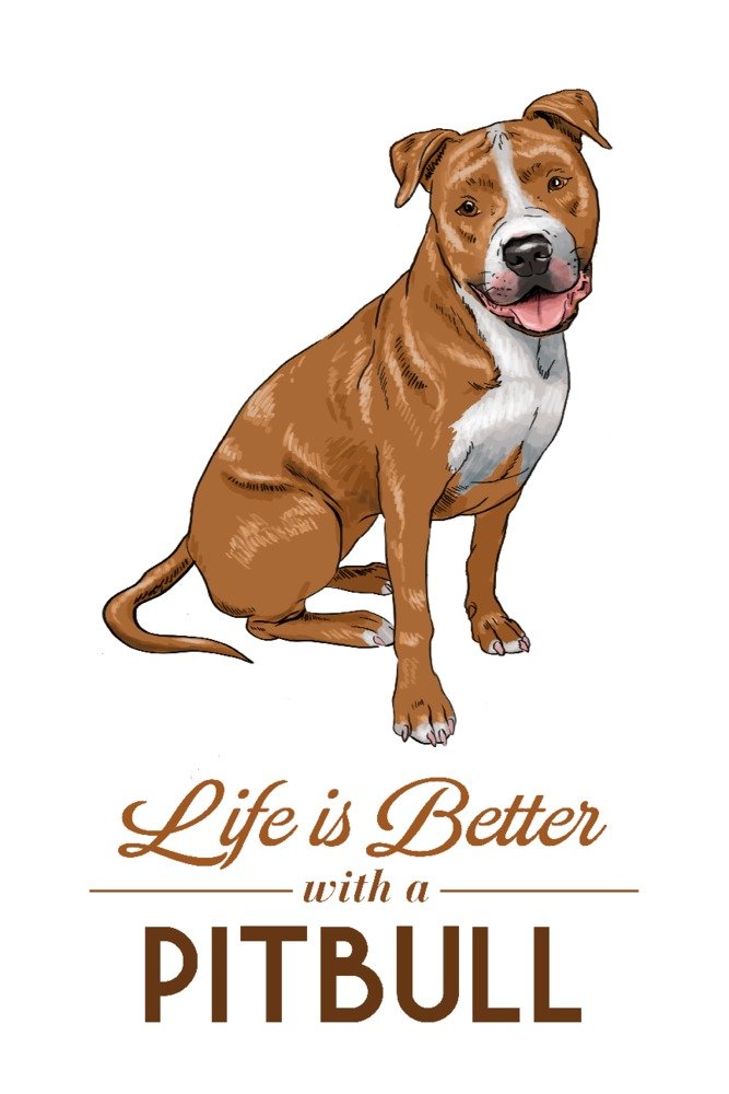 Pitbull & Golden Retriever 'Life is Better' Wall Art Poster - 12x18 Inch Dog Lover Home Decor, Framed Canvas Print for Living Room, Bedroom & Office